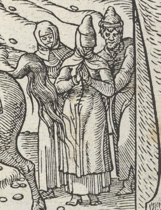 Detail of a veiled woman, Ces Moeurs et fachons de faire de Turcz, c. 1553